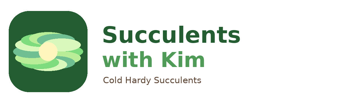 Succulents with Kim