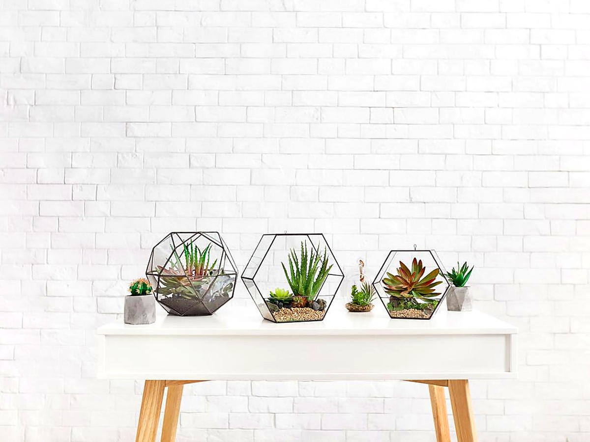 Rosette collection
