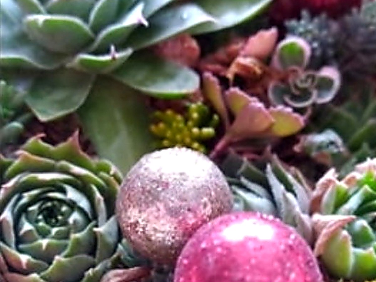 Stone planter